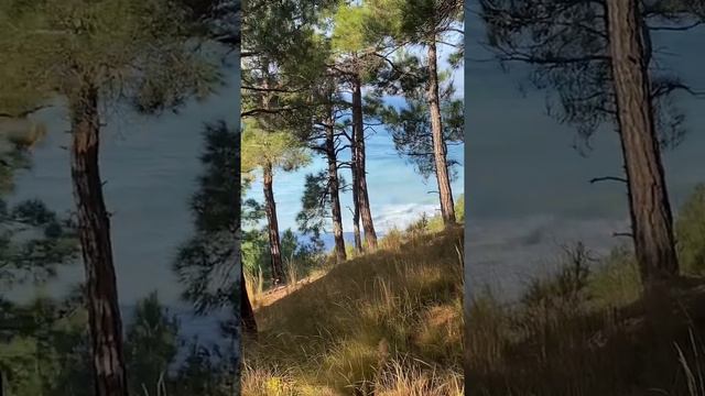Выброшенный корабль Рио в Кабардинке смотреть онлайн