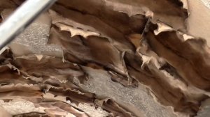 Агрогородок Юровичи 16 08 2021