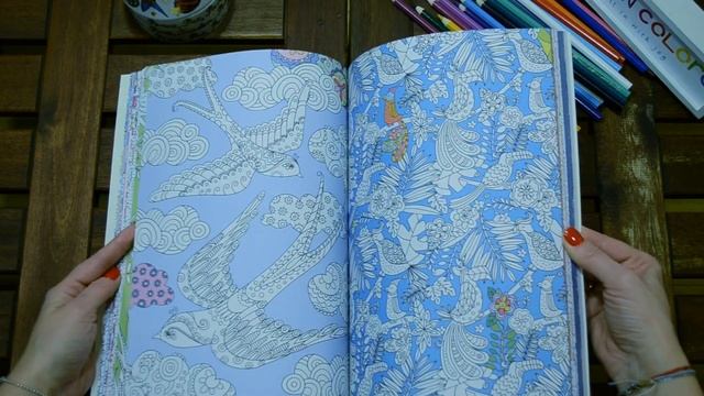 THE TRACING PAPER COLOURING BOOK - flip through смотреть онлайн