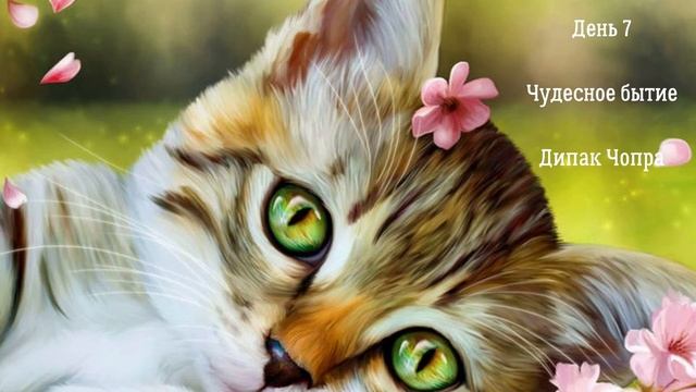 День 7. Чудесное бытие! Дипак Чопра смотреть онлайн