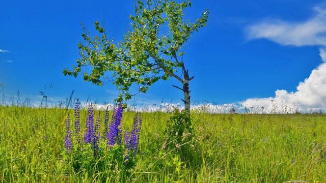 ♫ . Алексей Рыбников – 32 мая (Из к/ф "Тот самый Мюнхгаузен") смотреть онлайн