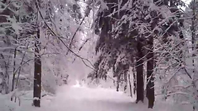 Сказочный лес смотреть онлайн