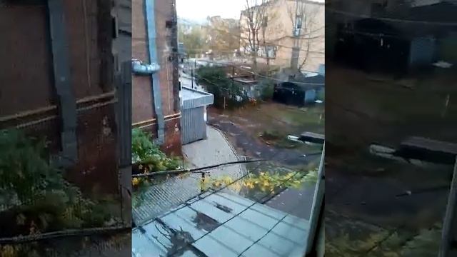 Мурчик отказывается общаться смотреть онлайн