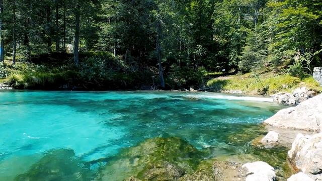 Красивый РУЧЕЙ. Журчание воды. Звуки природы 1 час. HD. Beautiful stream. Sounds of nature. смотреть онлайн