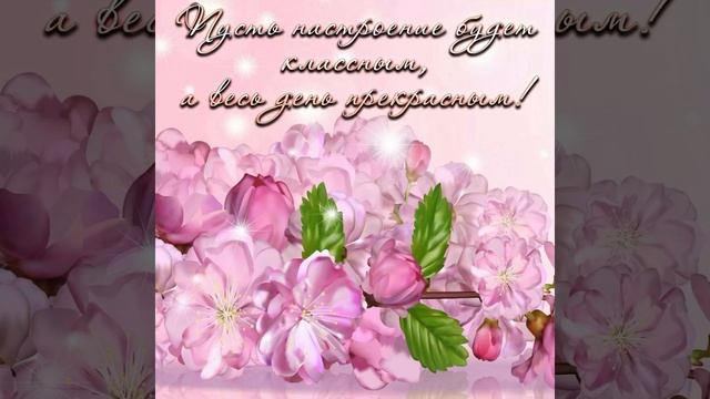 Хорошего дня. Пусть день подарит много приятных минут и мгновений ??? смотреть онлайн