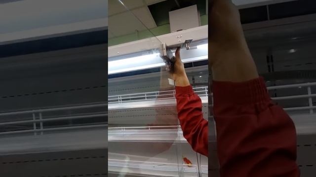 Монтаж стекляных дверей холодильных витрин Freor смотреть онлайн