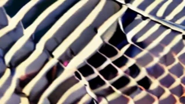 [AI] fat man dribbling basketball grandma смотреть онлайн