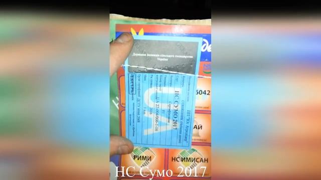 Семена подсолнечника НС Сумо смотреть онлайн