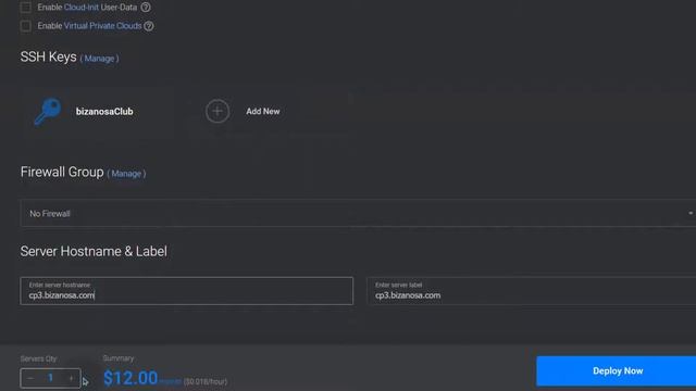 2. HestiaCP Tutorial Ubuntu 22.04 - Vultr Deploy Ubuntu 22 04 and login via SSH смотреть онлайн