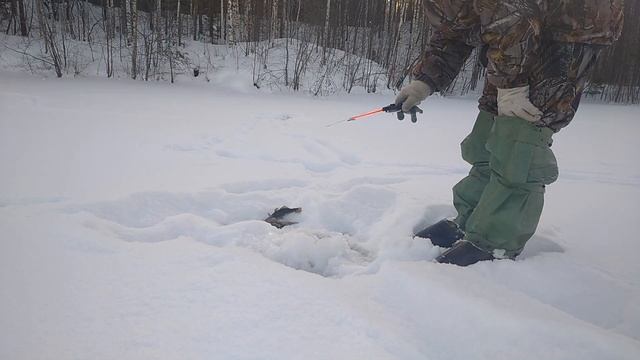Ловля ротана! Опасный лед! Обалденный клев! смотреть онлайн