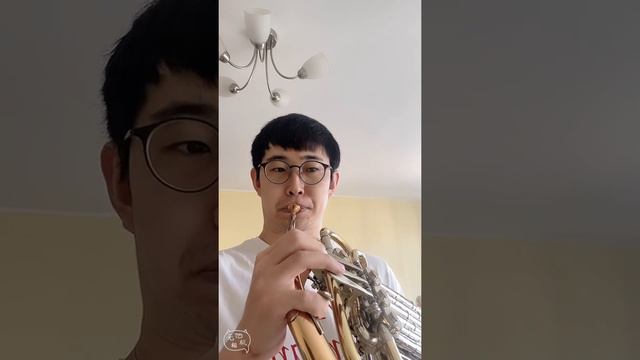Star Wars Medley For Traxonet Trio для Валторна (Фа) Тянь Чжаофэн смотреть онлайн