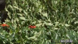 Кусторез Greenworks 82V Commercial Hedge Trimmer