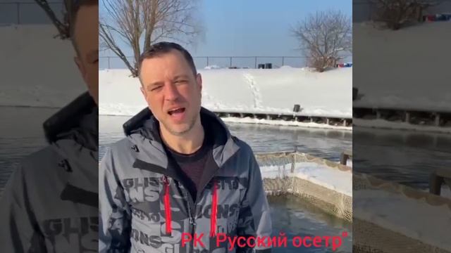 МЕГА- ЗАПУСК. Форелевая рыбалка в Праздничные дни в РК "Русский осетр" смотреть онлайн