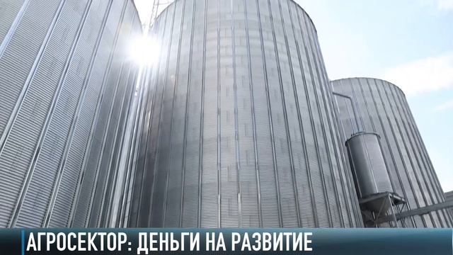 Есть полив – будет урожай. Господдержка агросектора
