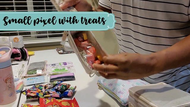 What's In My Toddler Diaper Bag for Disney | Petunia Pickle Bottom Sync Backpack смотреть онлайн