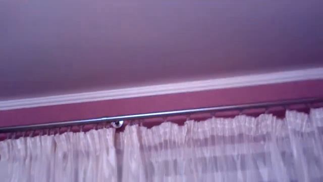 Крыса бегает по натяжному потолку - хозяин негодует (приколы животные) смотреть онлайн