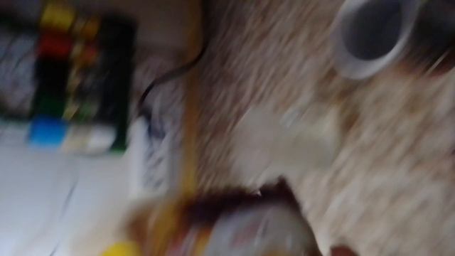 VOD_20240816_093310.mp4