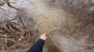 Проверка фитилей. Такого не кто не ожидал.. Рыбалка. Залётные проверяют наши фитили