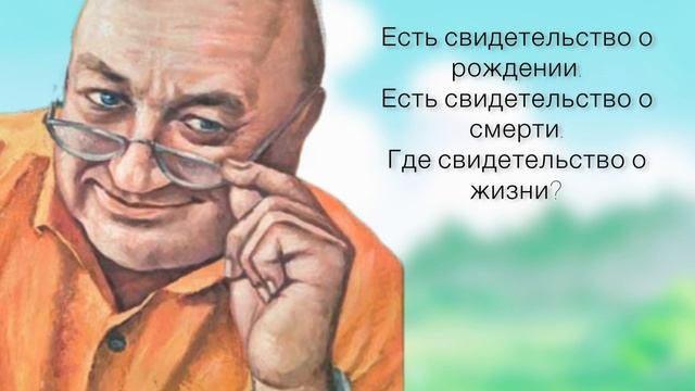 20 остроумных цитат Жванецкого о жизни в которых вы узнаете себя! Лучшие цитаты Михаила Жванецкого смотреть онлайн