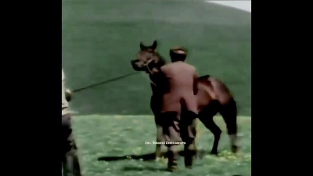 Кабардинский метод и Карачаевский способ смотреть онлайн