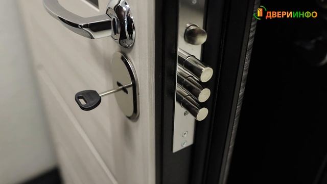 Дверь Аргус Графит