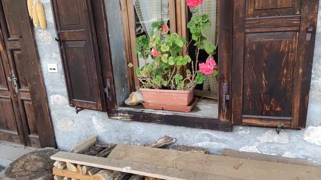 ИТАЛЬЯНСКИЕ АЛЬПЫ | САУРИС | 2 ЧАСТЬ | прогулка по улочкам жилых этнографических домиков в Альпах смотреть онлайн