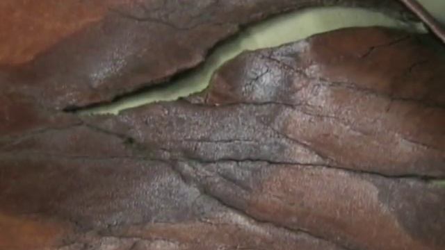 Leather repair смотреть онлайн