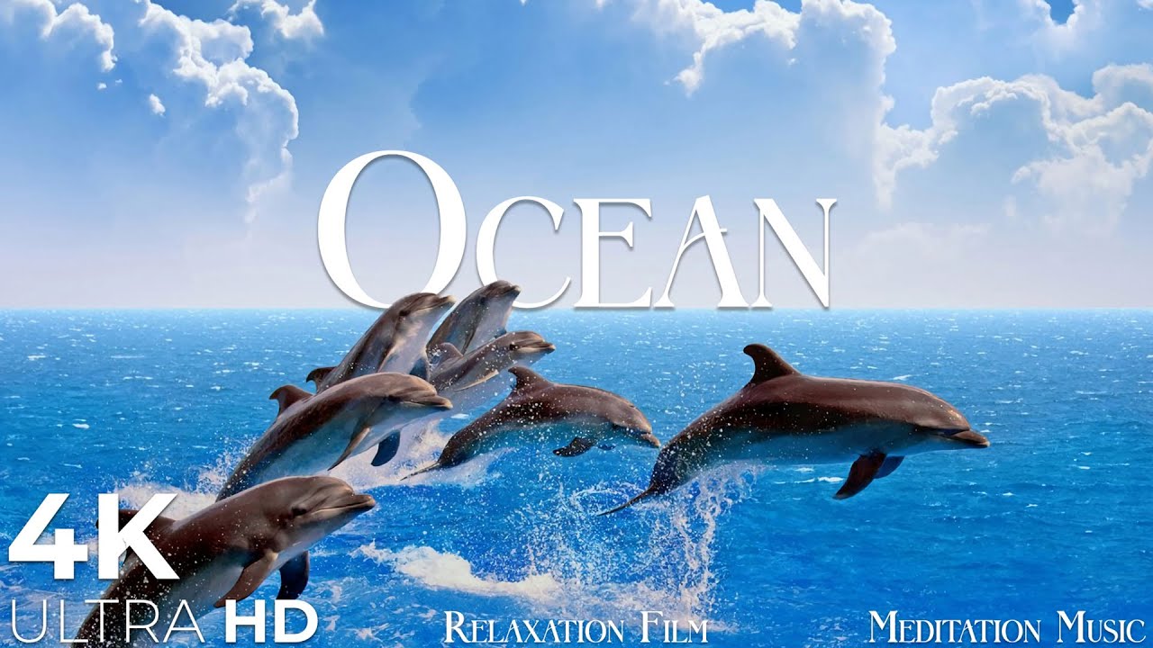 OCEAN Meditation Relaxing Music  SEA Sounds 4K Nature Relaxation Film