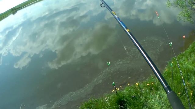 Карась на донку. Ловля карася в Мае. Рыбалка на пруду. смотреть онлайн