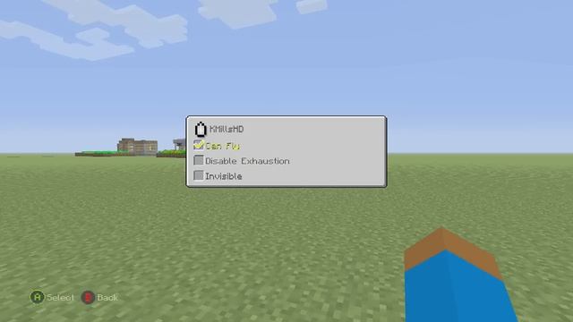 Minecraft: How To Hide Name tag | Go Invisible смотреть онлайн