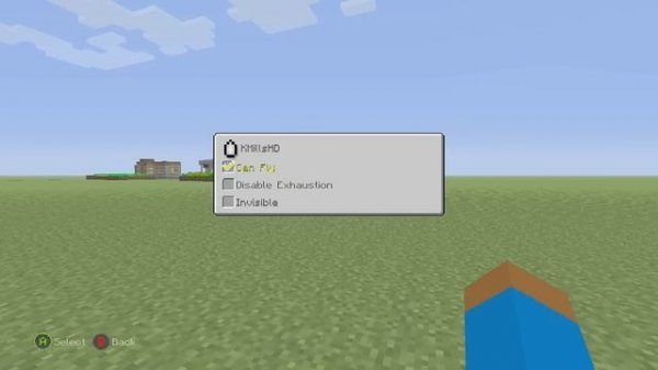 Minecraft: How To Hide Name tag | Go Invisible