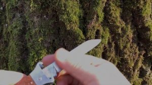 Охотничий складной нож СССР завод Заря Давыдково