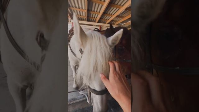 Белая скала. Крым июль 2024