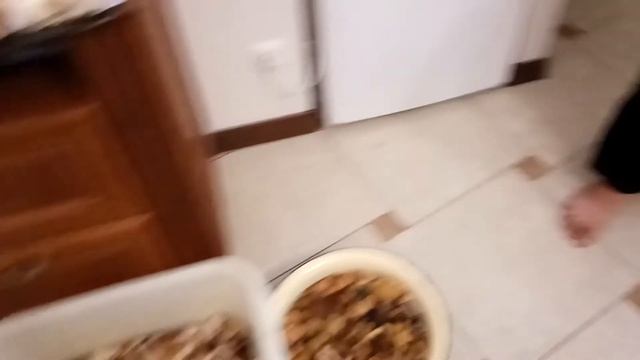 А в Рязани грибы с глазами смотреть онлайн