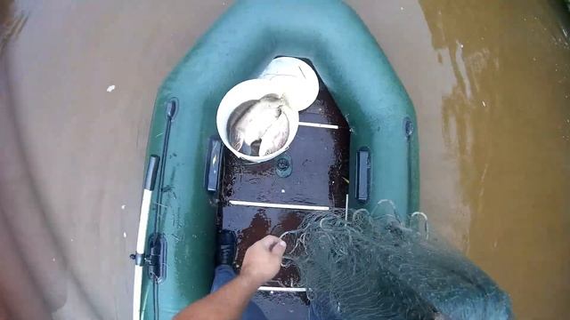 Кастинговая сеть (накидка) в деле!!! Просто отличная рыбалка! смотреть онлайн