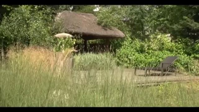 Прогулка по саду с Зоей Козичевой. Сад для большой семьи.