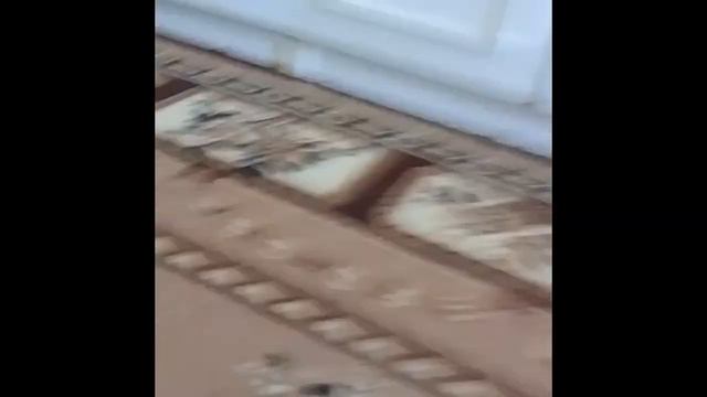 АНЯ И СЛОНЕНОК ЧАСТЬ 1 #анютканезабудка #сериал #дети смотреть онлайн