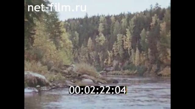 1976г. Коми. Тиманский кряж. река Пижма. леспромхоз. буровые. смотреть онлайн