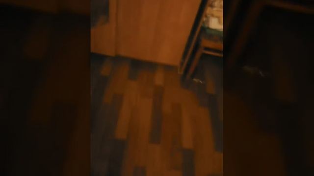 Смотрим шапку Stone island смотреть онлайн