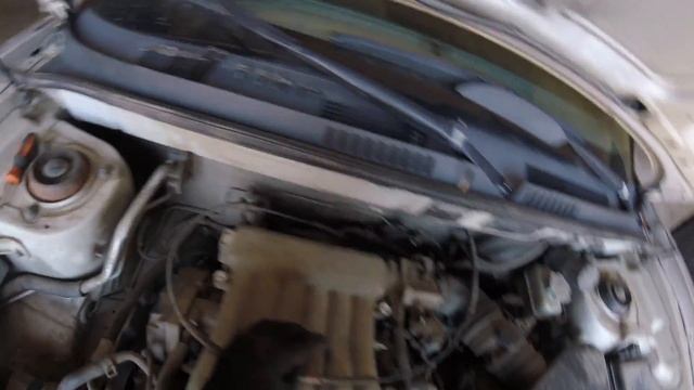 Ремонт в режиме форсирования: оперативное и качественное улучшение