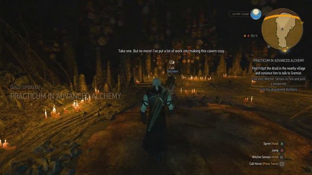 The Witcher 3 - Practicum in Advanced Alchemy (Death March Part 62) смотреть онлайн