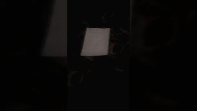 Проверка вызываем египетского кота. смотреть онлайн