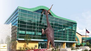 Существуют ли динозавры в наше время?