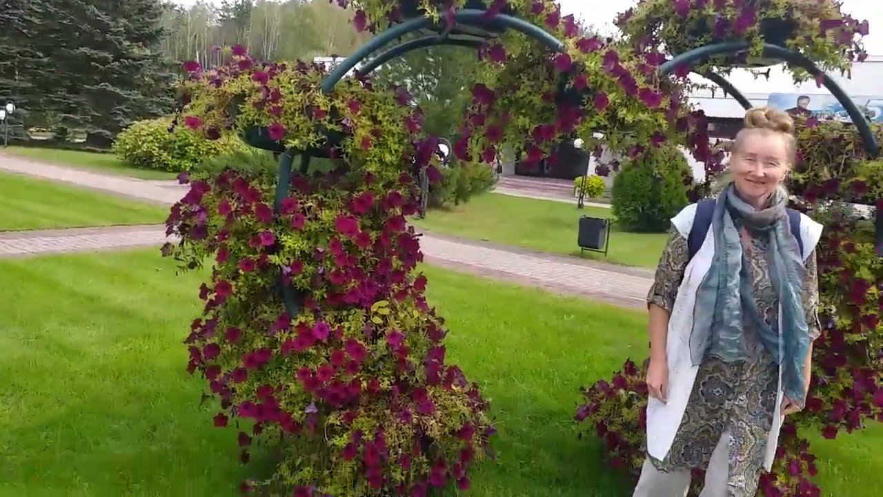 Через леса и поля - МНТК им. Св. Фёдорова. Возвращение в свой сад. смотреть онлайн