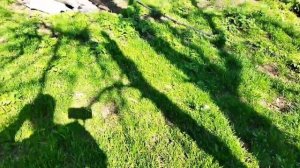 Съездили на рынок. Будет сад на усадьбе. Переехали в Ставропольский край.