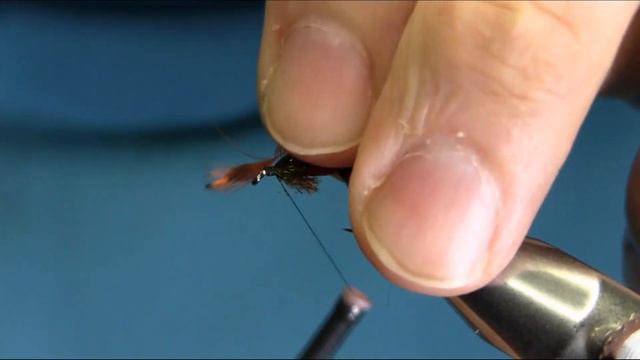 Fly Tying a Royal Coachman Wet Fly by Mak 🔥🔥🔥 смотреть онлайн