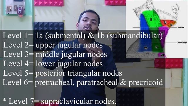 Classification of lymph nodes of whole body. Part 2. #drtechvlogger смотреть онлайн