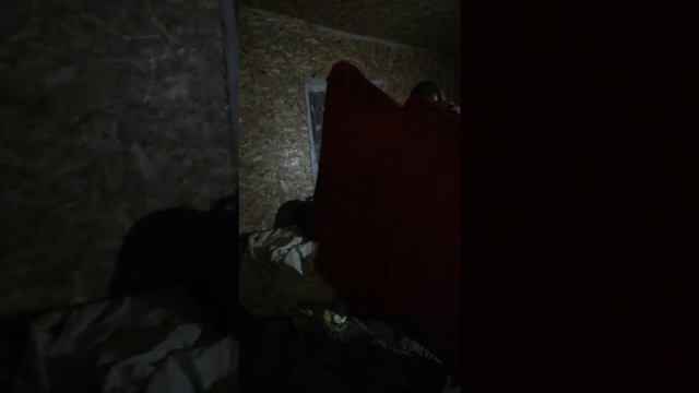 Простые люди открытие дачного зимнего сезона смотреть онлайн