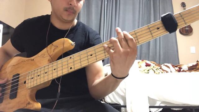 lakland 55-01 Bass смотреть онлайн