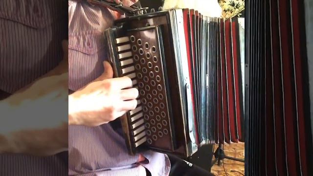 @3387murat💃____🕺Гармошка KAVKAZ MUSIC смотреть онлайн